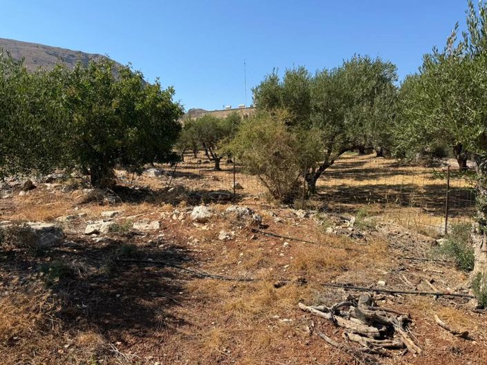 Image No.10-Land for sale