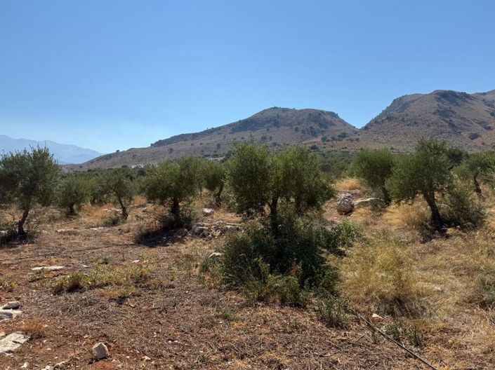 Image No.13-Land for sale