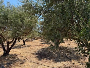 Photo 14 - Land 0 m² in Crete