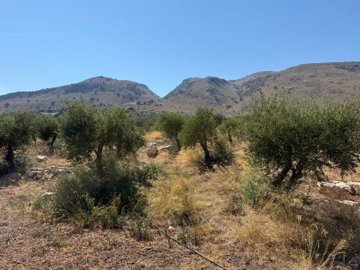 Photo 15 - Land 0 m² in Crete