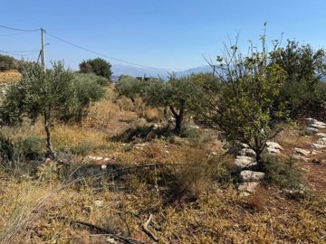 Photo 2 - Land 0 m² in Crete