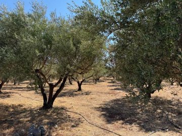Photo 5 - Land 0 m² in Crete