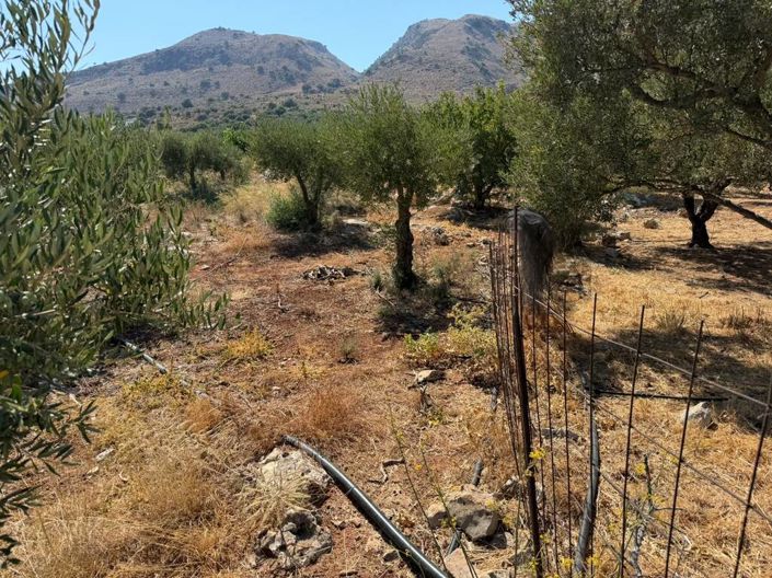 Image No.6-Land for sale