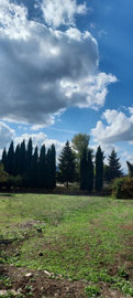 Photo 10 - Cottage 420 m² in Peloponnese