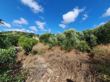 Photo 6 - Townhouse 120 m² in Crete