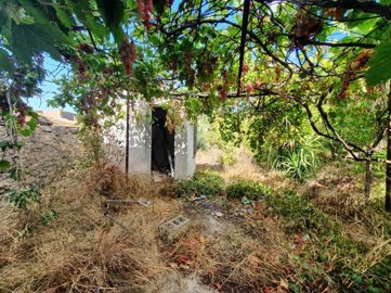 Photo 7 - Townhouse 120 m² in Crete