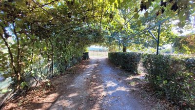 Photo 3 - Cottage 250 m² in Central Macedonia