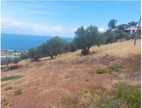 Image No.3-Land for sale