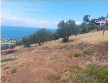 Photo 3 - Land 0 m² in Peloponnese