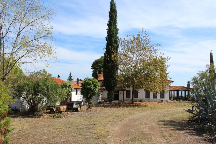 Image No.3-Propriété de 3 chambres à vendre