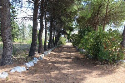 Photo 5 - Cottage 250 m² in Central Macedonia