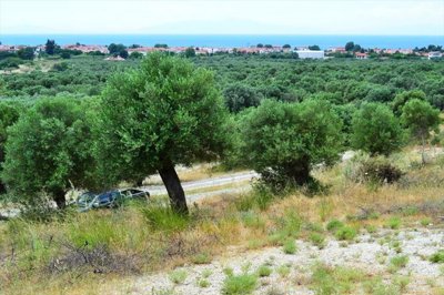 Photo 1 - Land 5171 m² in Central Macedonia
