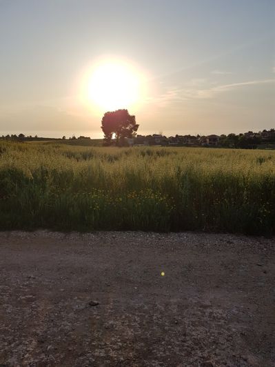 Image No.2-Land for sale