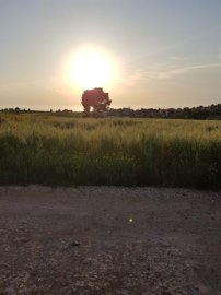 Photo 2 - Land 0 m² in Central Macedonia