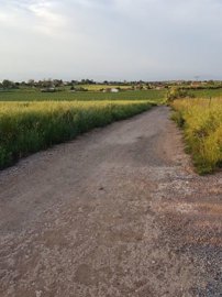 Photo 3 - Land 0 m² in Central Macedonia