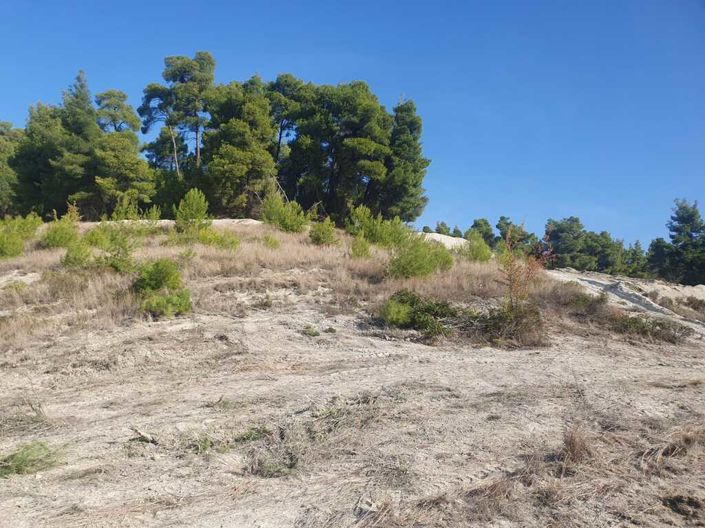Image No.2-Land for sale