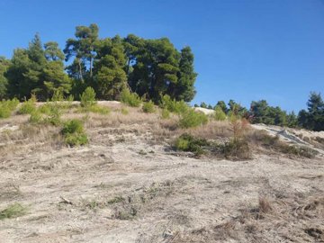 Photo 2 - Land 0 m² in Central Macedonia
