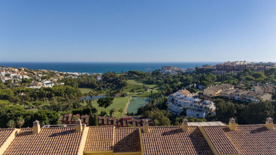 Buenavista Homes  most sold property