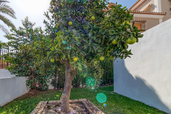 Image No.27-4 Bed Villa for sale