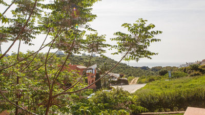 5-3595ad71cbd87be6c3643a4285ef4791