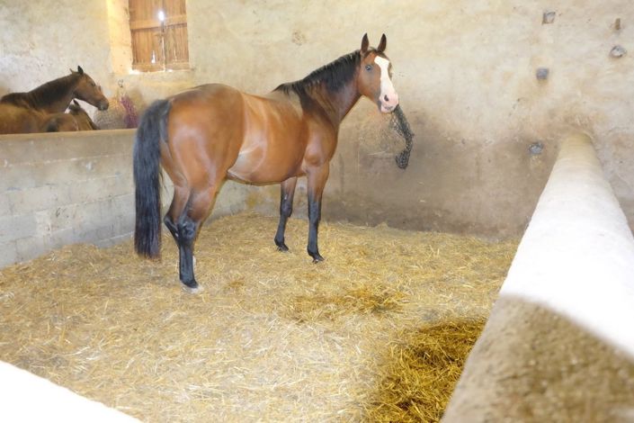 Image No.13-6 Bed Farmhouse for sale