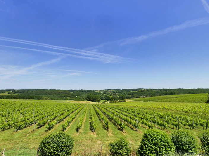 Image No.5-9 Bed House for sale