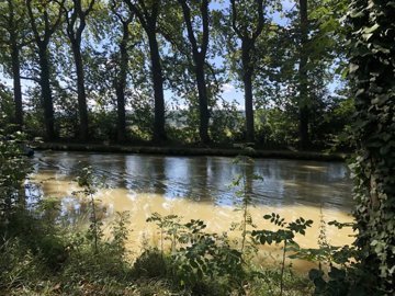 31919d18731e0795fd4714e292b9c5cbb224974c8f192