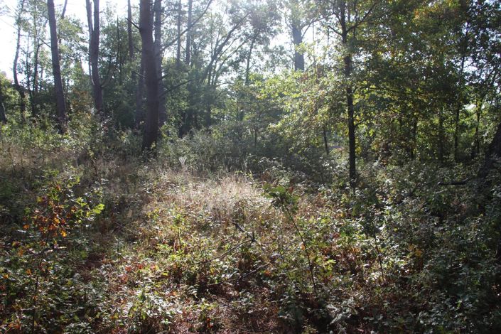 Image No.6-Property for sale