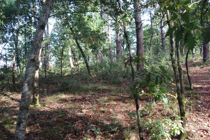 Image No.8-Property for sale