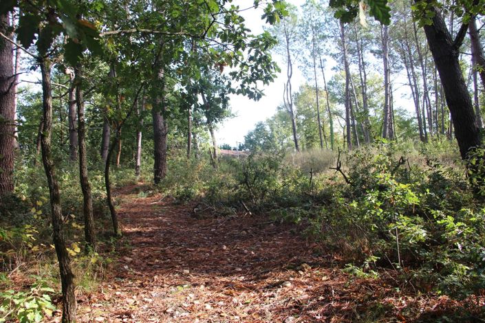 Image No.9-Property for sale