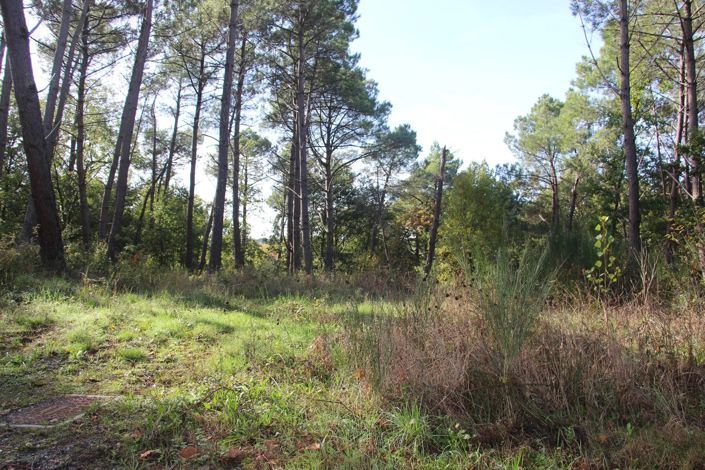 Image No.11-Propriété à vendre à Gaillac