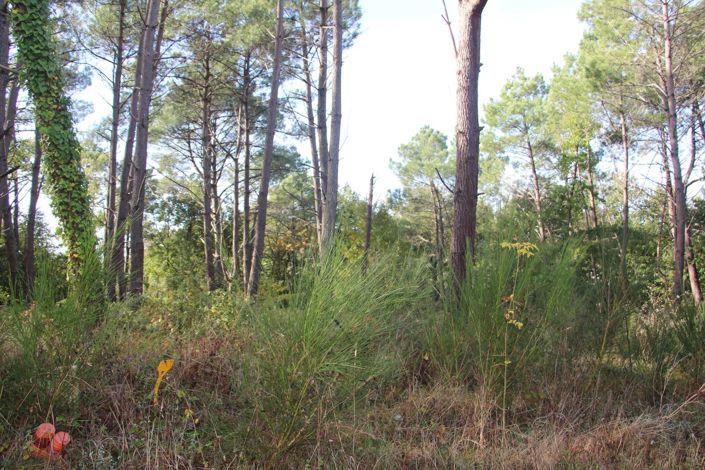 Image No.12-Propriété à vendre à Gaillac