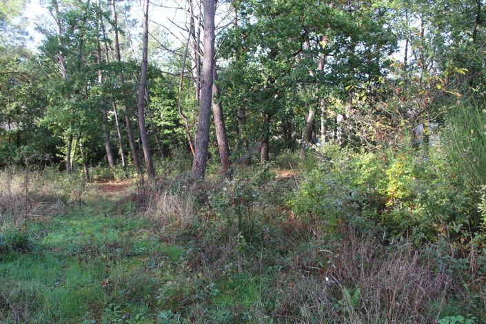 Image No.1-Propriété à vendre à Gaillac