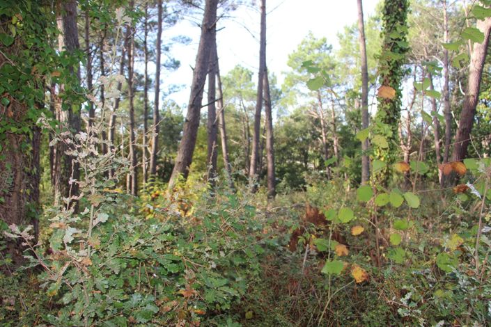 Image No.14-Property for sale