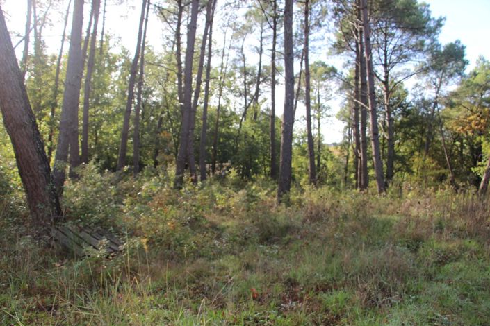 Image No.15-Property for sale