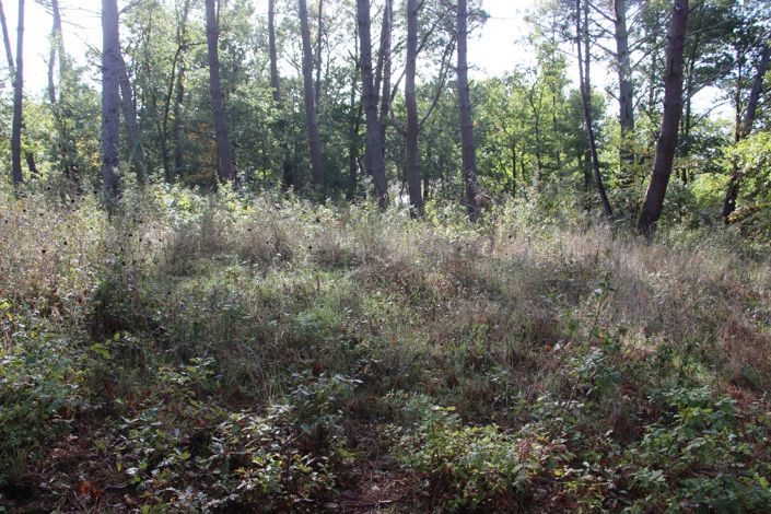 Image No.3-Property for sale