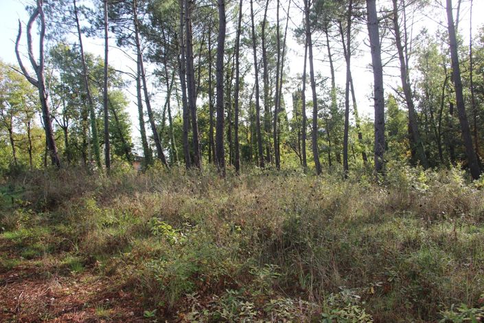 Image No.4-Property for sale