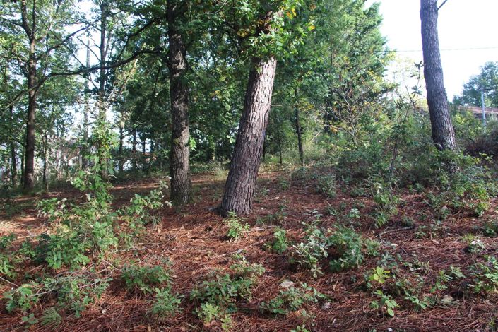 Image No.5-Property for sale