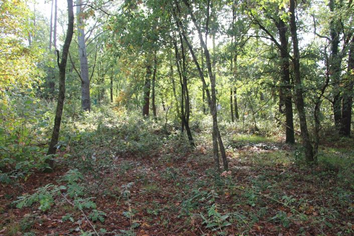 Image No.7-Property for sale