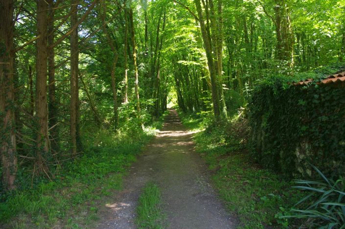 Image No.5-3 Bed House for sale