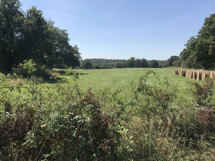 Image No.14-Ferme de 5 chambres à vendre à Saint-Léger-Magnazeix