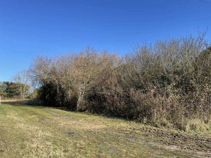 Image No.1-Propriété à vendre à Verteillac