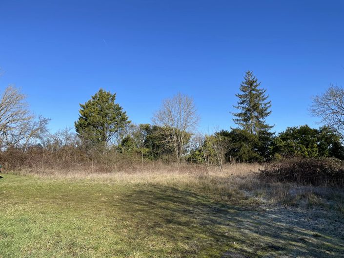 Image No.4-Property for sale