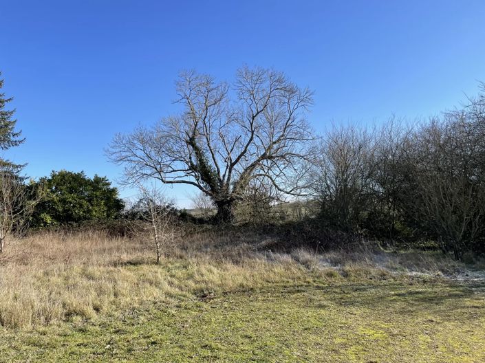 Image No.6-Property for sale