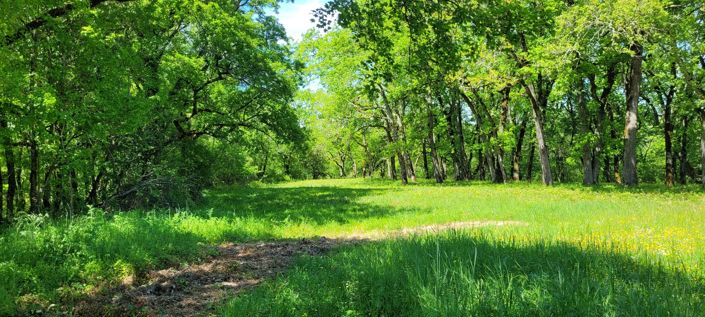 Image No.11-Maison de 3 chambres à vendre à Roquecor