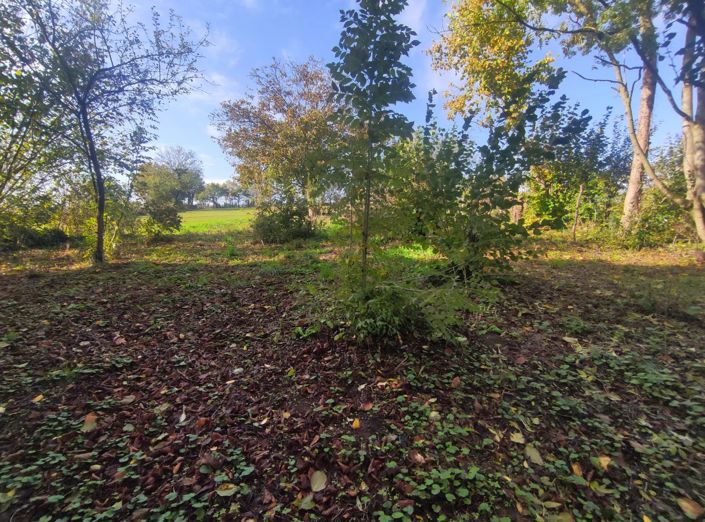 Image No.2-Barn for sale