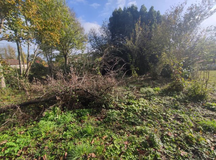 Image No.3-Barn for sale