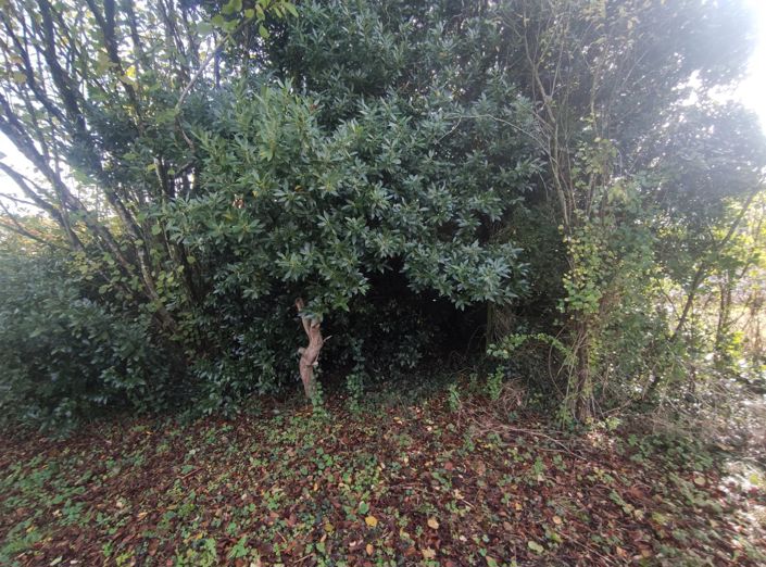 Image No.5-Barn for sale