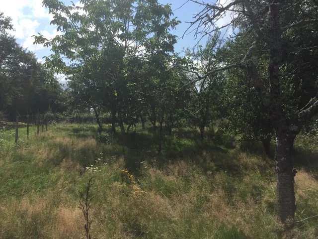 Image No.7-House for sale