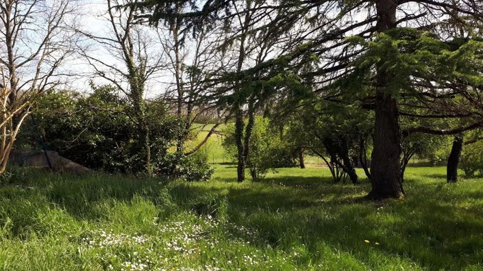 Image No.12-Maison de 6 chambres à vendre à Montaigu-de-Quercy